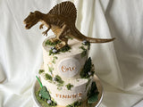 Birthday Cake - Dinosaur