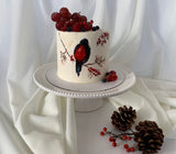 Robin Cake